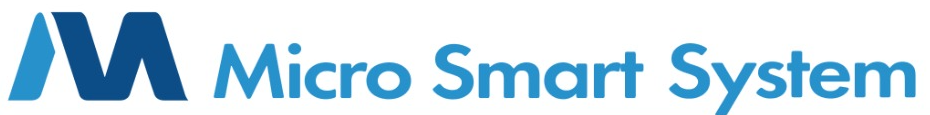 Micro Smart System